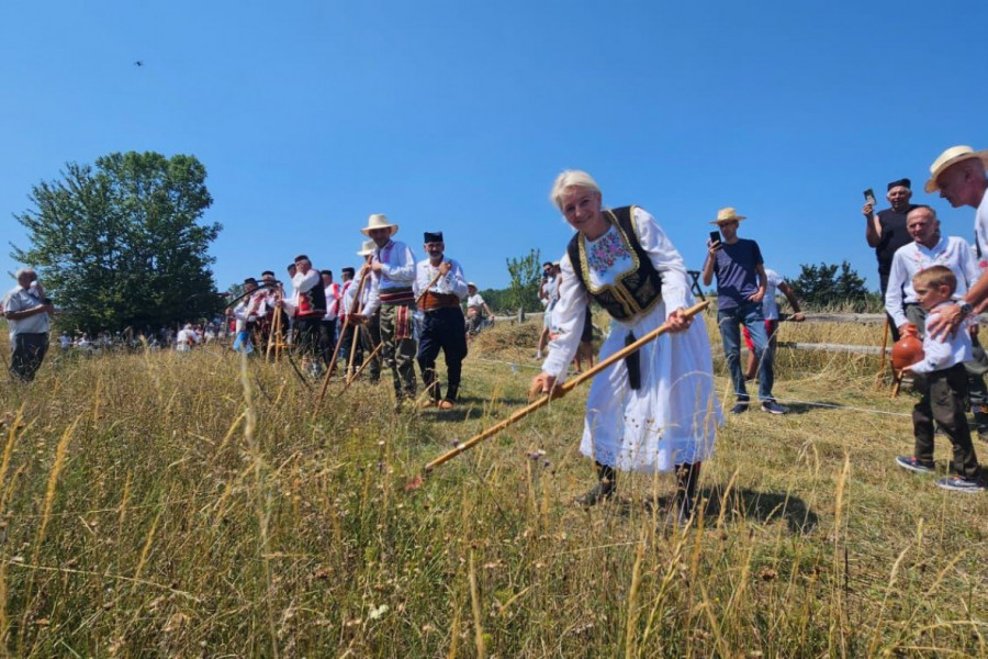 MUŠKA TRADICIJA U RUKAMA ŽENE: Na saboru kosaca na Rajcu, zavidnu veštinu pokazala i Gordana Rendulić iz Lučana