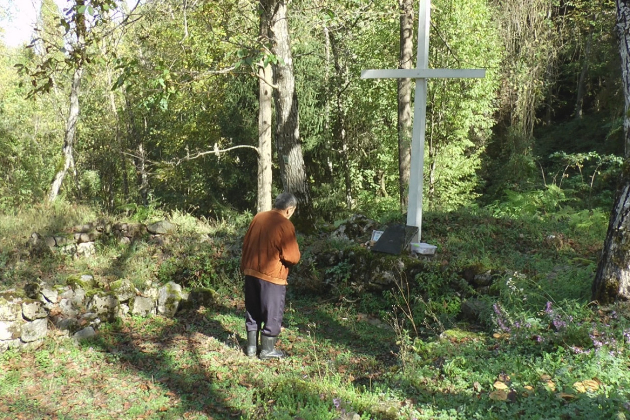 TAJNA VINOVE LOZE KOD MANASTIRA RAČA: Otkriven čokot star 15 vekova koji i danas rađa grožđe