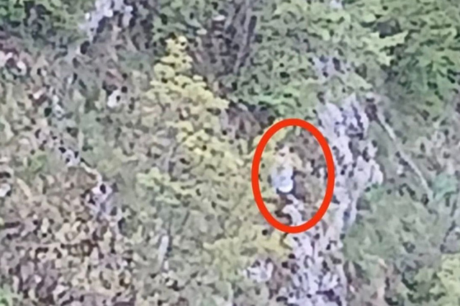 "OVO JE BOŽIJE ČUDO " BOGDAN PREŽIVEO SUSRET SA SMRĆU: Ispao iz kola, visio iznad litice na tankoj grani  - sve se desilo kod manastira (FOTO)