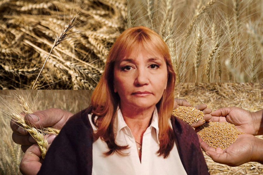 "PŠENICA JE NAJSLIČNIJA ČOVEKU, SVE PIŠE U SVETOM PISMU" Dr Šćepanović iznela neverovatne podatke: Naša otadžbina nije ovde