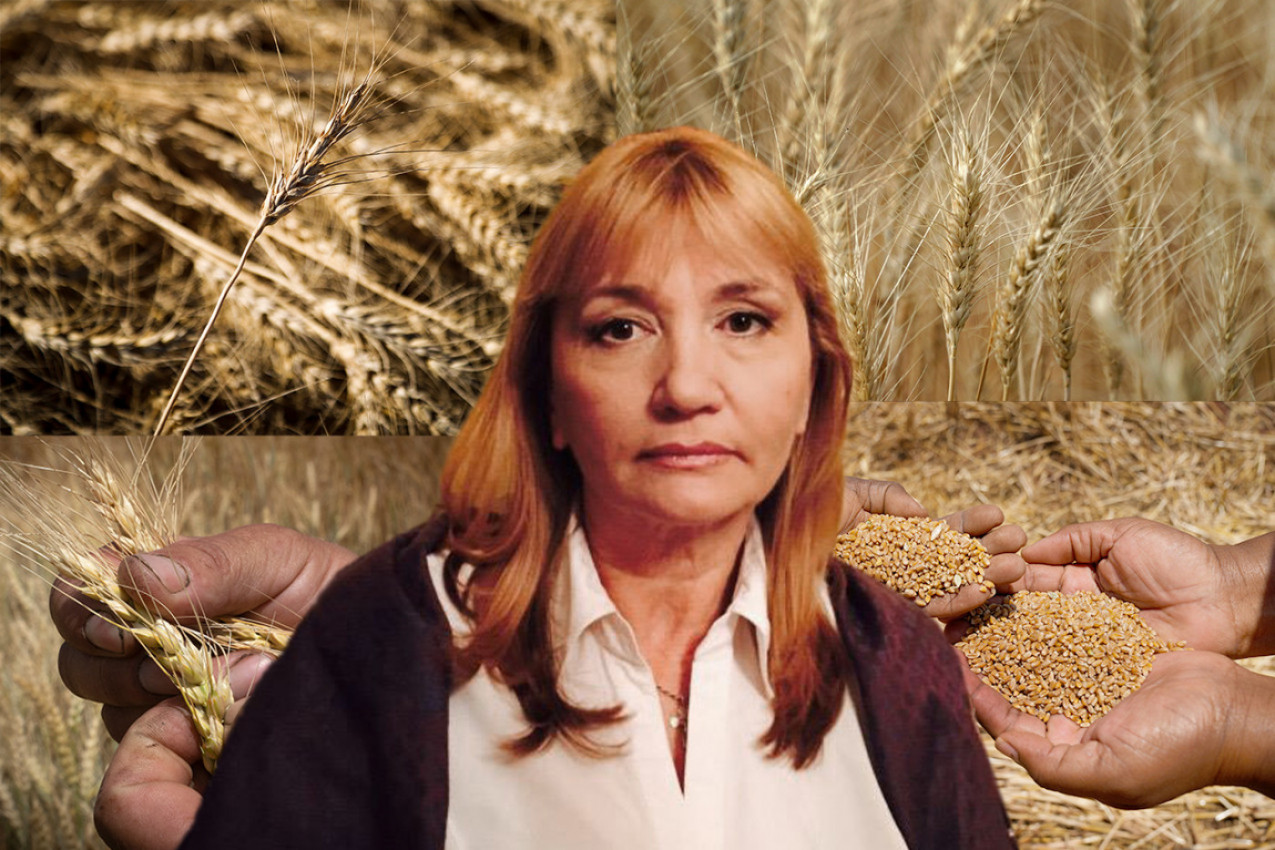 "PŠENICA JE NAJSLIČNIJA ČOVEKU, SVE PIŠE U SVETOM PISMU" Dr Šćepanović iznela neverovatne podatke: Naša otadžbina nije ovde