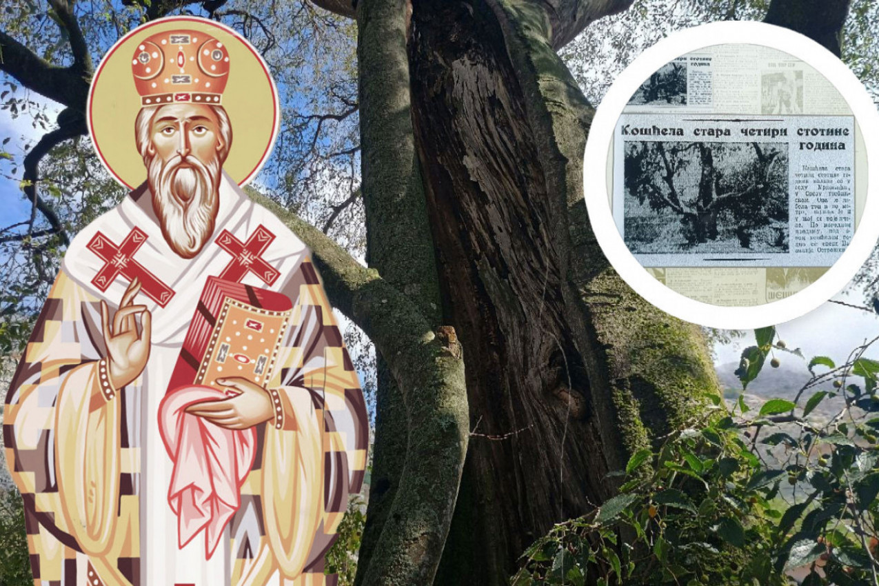 TAJNA DRVETA ISPOD KOGA SE RODIO SVETI VASILIJE: Posetili smo rodni kraj Ostroškog Čudotvorca, evo šta smo otkrili (FOTO, VIDEO)