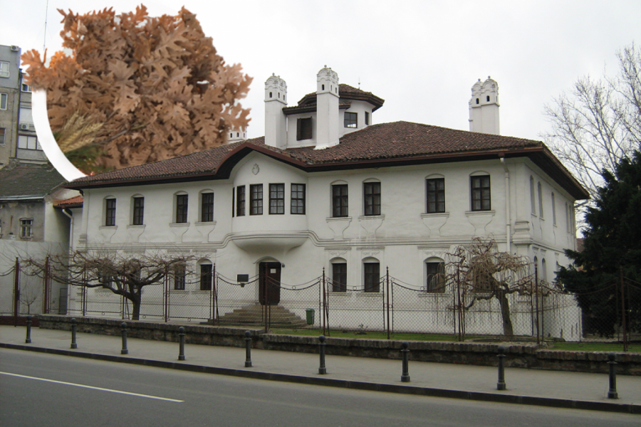 PRAZNIČNI VODIČ ZA PORODICE U BEOGRADU: Evo gde deca mogu da nauče šta znači Božić, a odrasli da se sete zašto ga slave