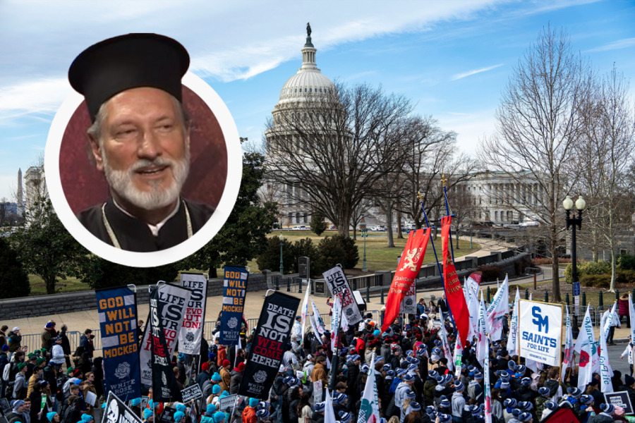 VLADIKA IRINEJ MOLITVOM OTVORIO PROTESTNI MARŠ U AMERICI: 100.000 Amerikanaca klicalo srpskom arhijereju (VIDEO)