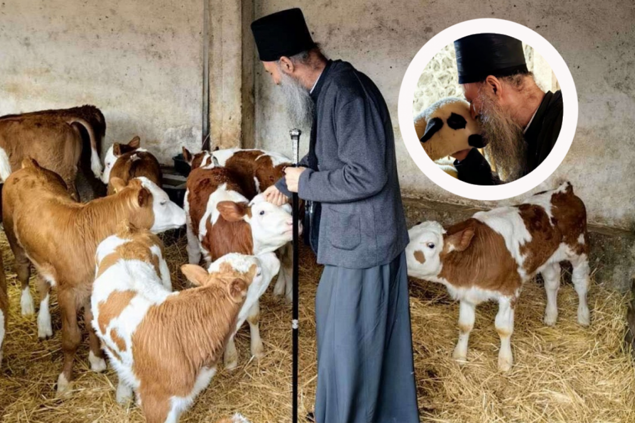 DIRLJIVE SLIKE KOSOVA I METOHIJE KOJE SE RETKO VIĐAJU: Patrijarh Porfirije obišao manastirsko imanje Visokih Dečana (FOTO)