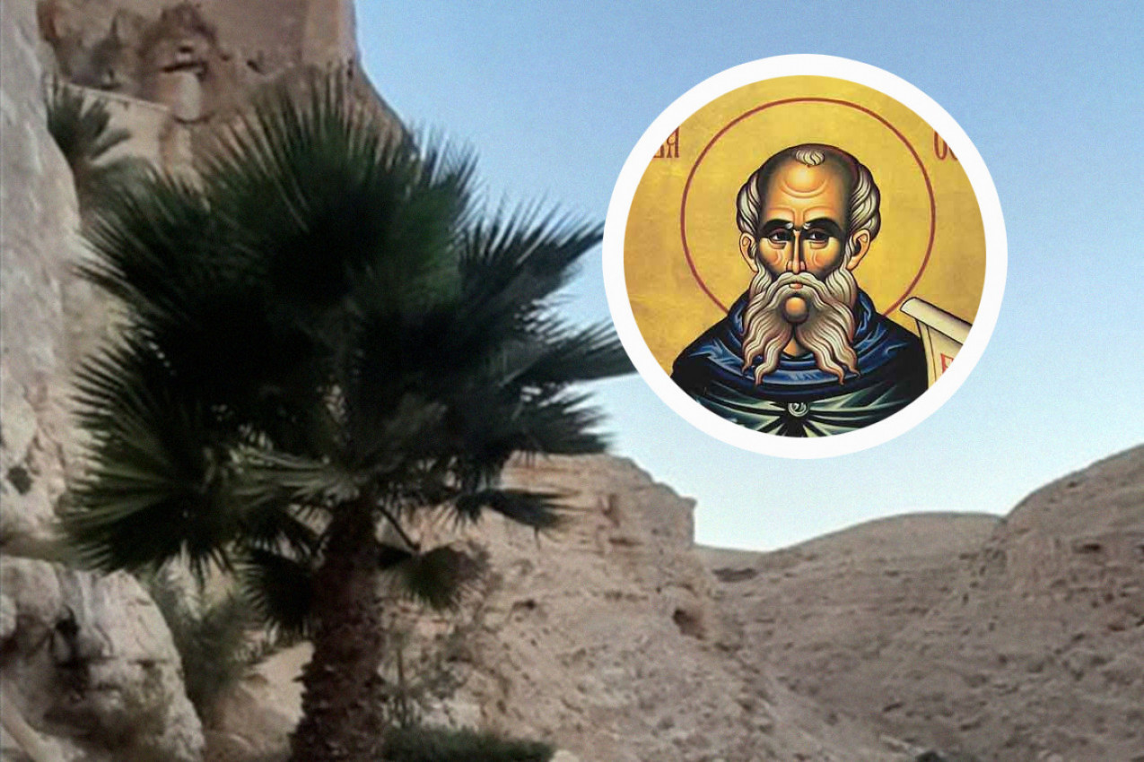 ONA JE JEDNO OD NAJVEĆIH ČUDA PRAVOSLAVLJA I MNOGIMA JE ŽIVOT PROMENILA IZ KORENA: Šta je čudotvorna palma Svetog Save Osvećenog, kako do njenih listova i kome najviše pomaže?